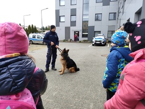 policjant prezentuje umiejętności psa służbowego